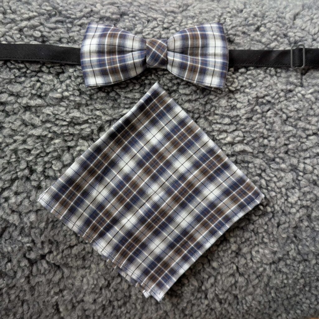 adobe express file (3)